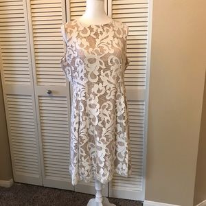 New York & Company Eva Mendes Lace Dress